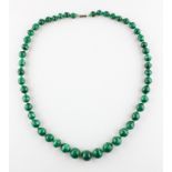 A single strand of graduated malachite beads. Forty nine irregular shaped beads
