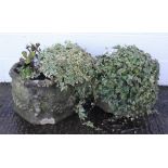 A pair of reconstituted stone octagonal jardinieres with fruiting swag decoration,