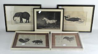 A group of five pencil etchings and engravings,