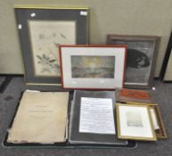 Assorted pictures and prints, including a Botanical flower and a folder of prints, some framed,