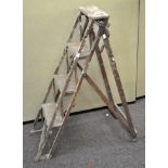 A vintage trellis step ladder,