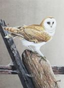 Ken Field, Barn owl on a fence post, watercolour, signed lower right,