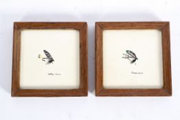 Two cream-glazed ceramic tiles within oak frames, depicting fishing flies,