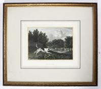 A hand coloured hunting engraving, titled 'Harrier', after the painting by P Rainagle (A.R.A.