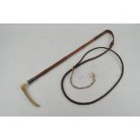 A cane riding crop with horn handle, the silver ferrule dated London 1929,