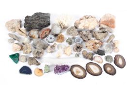 A collection of fossils, specimen minerals, geodes, shells and corals