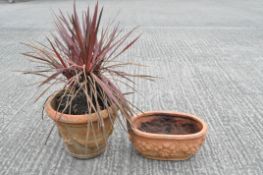 Two terracotta planters,