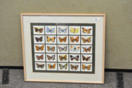 A framed set of Players butterfly cigarette cards, possibly reproduction,