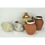 A group of stoneware jugs and jars, including a botanical brewers jar from W S Griffin & Son,