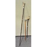 Three walking sticks, one with an owl finial,