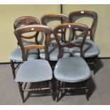 Five assorted Victoria balloon back chairs, each upholstered in blue velvet,