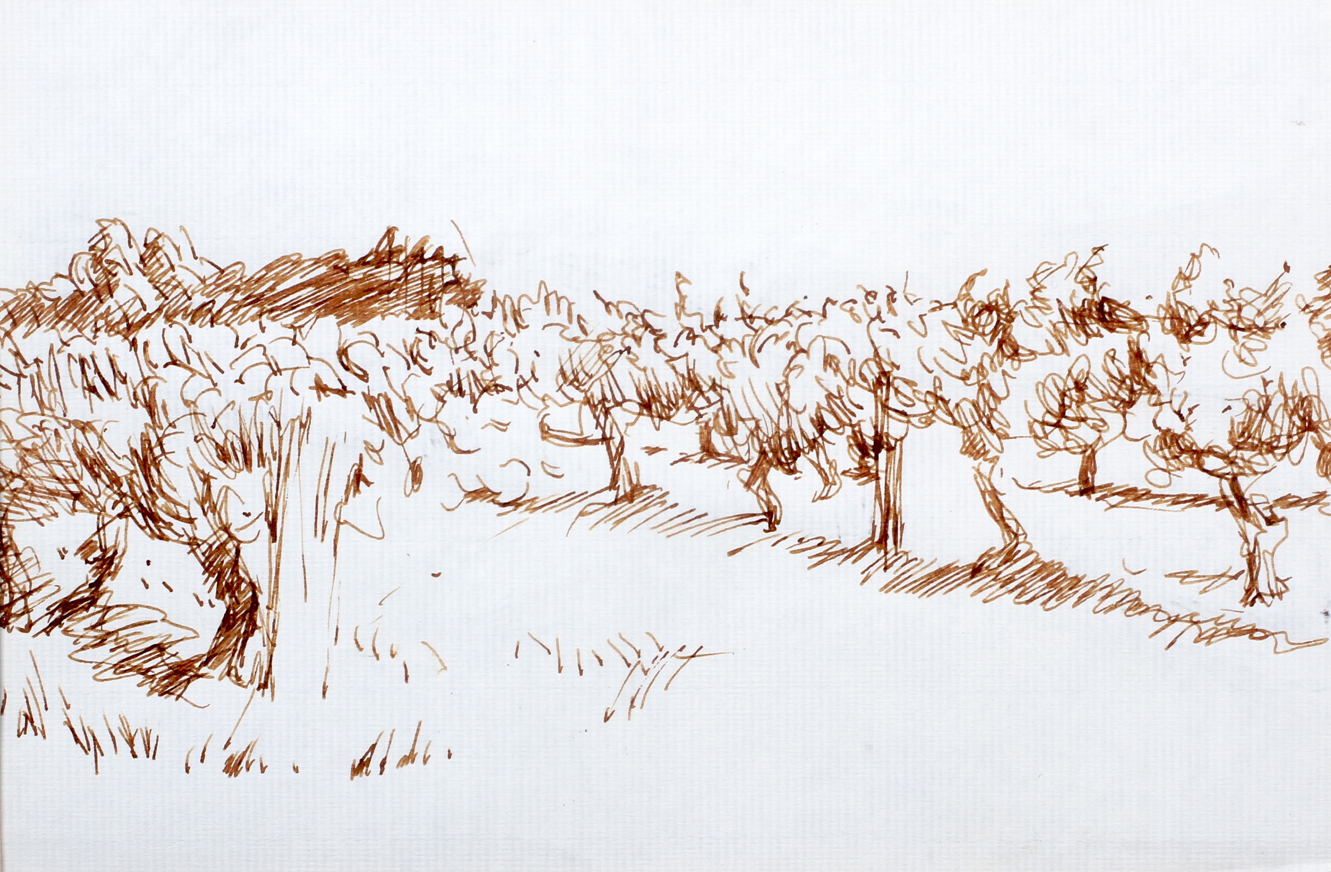 19th century Continental school, a pen and ink study of a Vineyard,