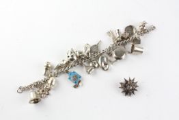 A sterling silver charm bracelet with bolt ring clasp and fitted with twenty two assorted charms.
