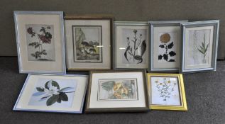Six assorted framed botanical prints and two framed prints of mushrooms, heightened in watercolour,