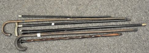 A collection of assorted walking sticks, some with silver collars,