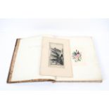 A large Victorian scrapbook, partially mounted with watercolour botanical specimens,