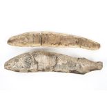 Two fossilized fish, species unknown, possibly from Brazil,