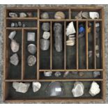 A large selection of shells, fossil, quartz and stones,