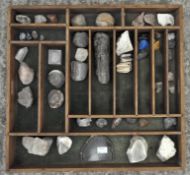 A large selection of shells, fossil, quartz and stones,