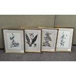 A selection of Botanical prints,