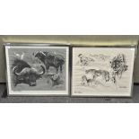 William Timym, Cape Buffalo, Chetah print,