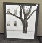 A limited edition artist's proof print depicting a tree in front of a house, framed and glazed,