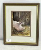 A Heather Mags watercolour on paper, 'Pig Chuckles II' depicting a pig in a barn, unsigned,