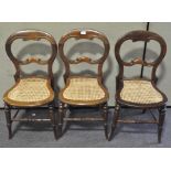 Three Victorian balloon back caned dining chairs, with scroll carved backs,