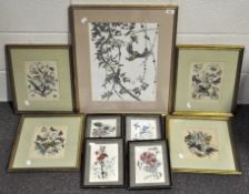 Nine botanical coloured prints depicting birds, flowers and insects,