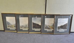 Five framed Balfour-Browne stag prints