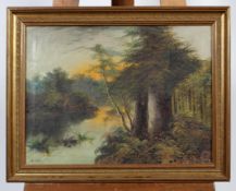 J Cole, Wooded river scene, signed lower right, oil on canvas, (repaired), 37 cm x 50 cm,