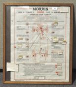 A framed copy of a Morris 1000 & Series II Minor lubrication chart,