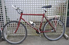 A Saracen Backtray vintage bicycle