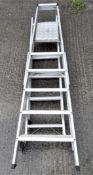 Two metal ladders, one of six treads, the other an extending example,