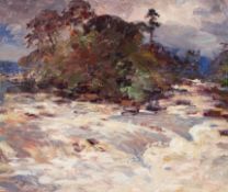 Andrew A Douglas, A River in Flood, oil on board, attribution and title on labels verso,