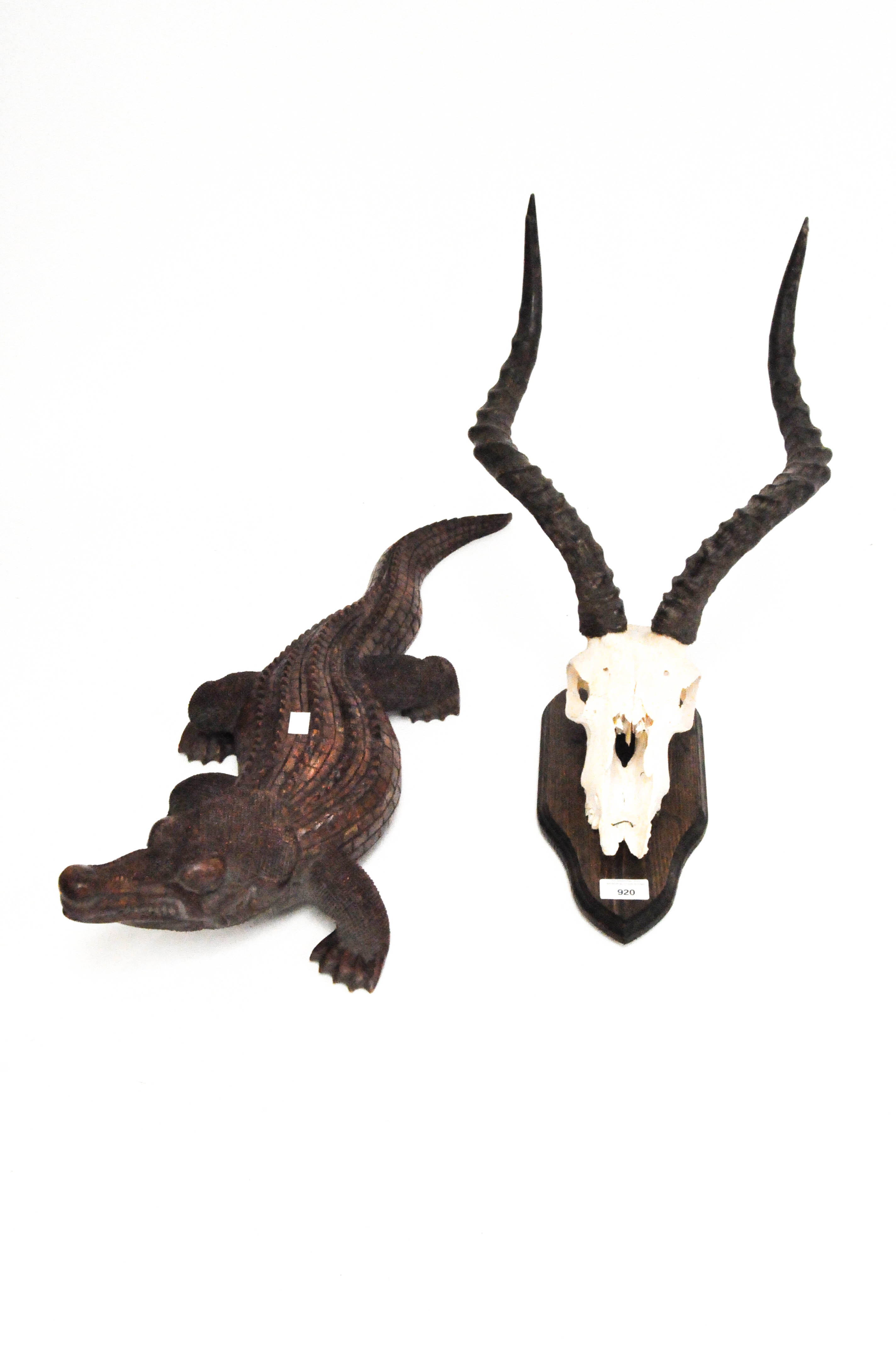 A mounted impala skull and antlers together with a large modern carving of a crocodile