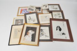 A group of 20th century pictures mainly of birds and dogs