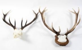 Two sets of stag antlers, one on wooden shield shaped mount, the other unmounted,