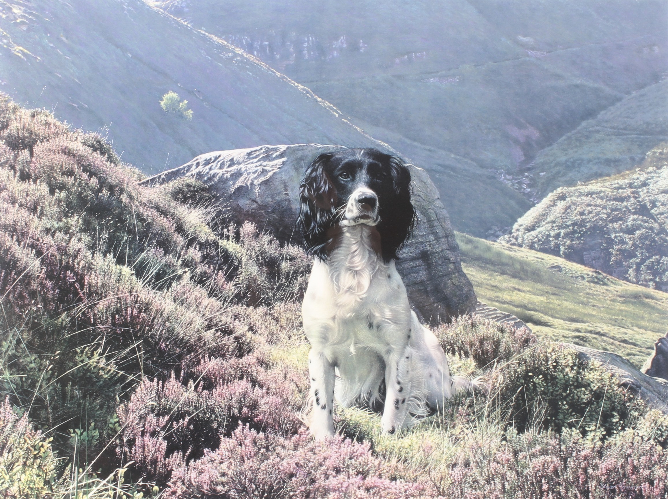 Two Steven Townsend prints of spaniels and one of a Labrador, - Image 3 of 4