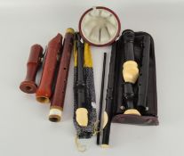 A group of contemporary recorders,