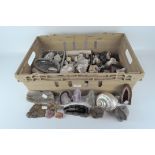 A large collection of Victorian fossils, shells,