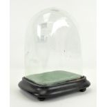 An early 20th century glass display dome on ebonised stand,