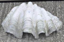 A large and rustic clam shell,