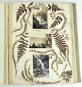 A Victorian specimen book marked 'Ferns',