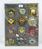 A group of PARA & Airborne Forces lapel badges,