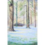 20th century, British School, A Bluebell Wood, watercolour, initialled M.K.B.