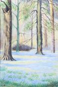 20th century, British School, A Bluebell Wood, watercolour, initialled M.K.B.