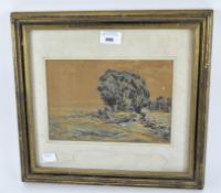 A late 19th century French watercolour landscape, depicting trees and shrubbery,
