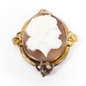 A large unmarked yellow metal shell cameo brooch Profile bust of classical figure.
