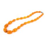 A strand of graduated honey amber-style Bakelite beads 124g. 64cm.